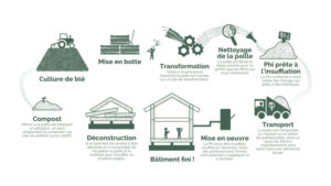 Image IELO 300x169